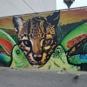 Follow me on mercari- collegesaver$